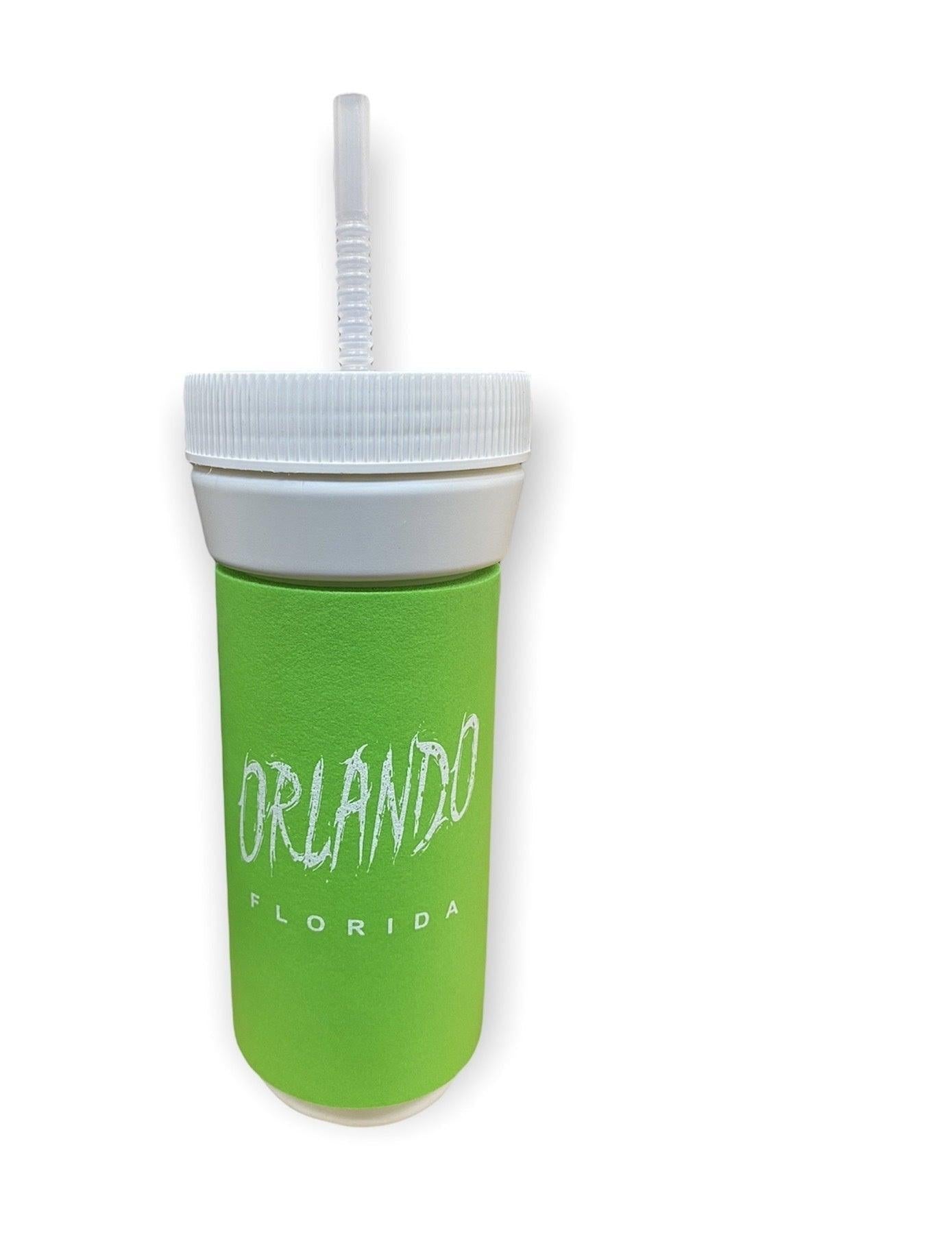 Orlando Florida 28oz Insulated Bottle With Straw