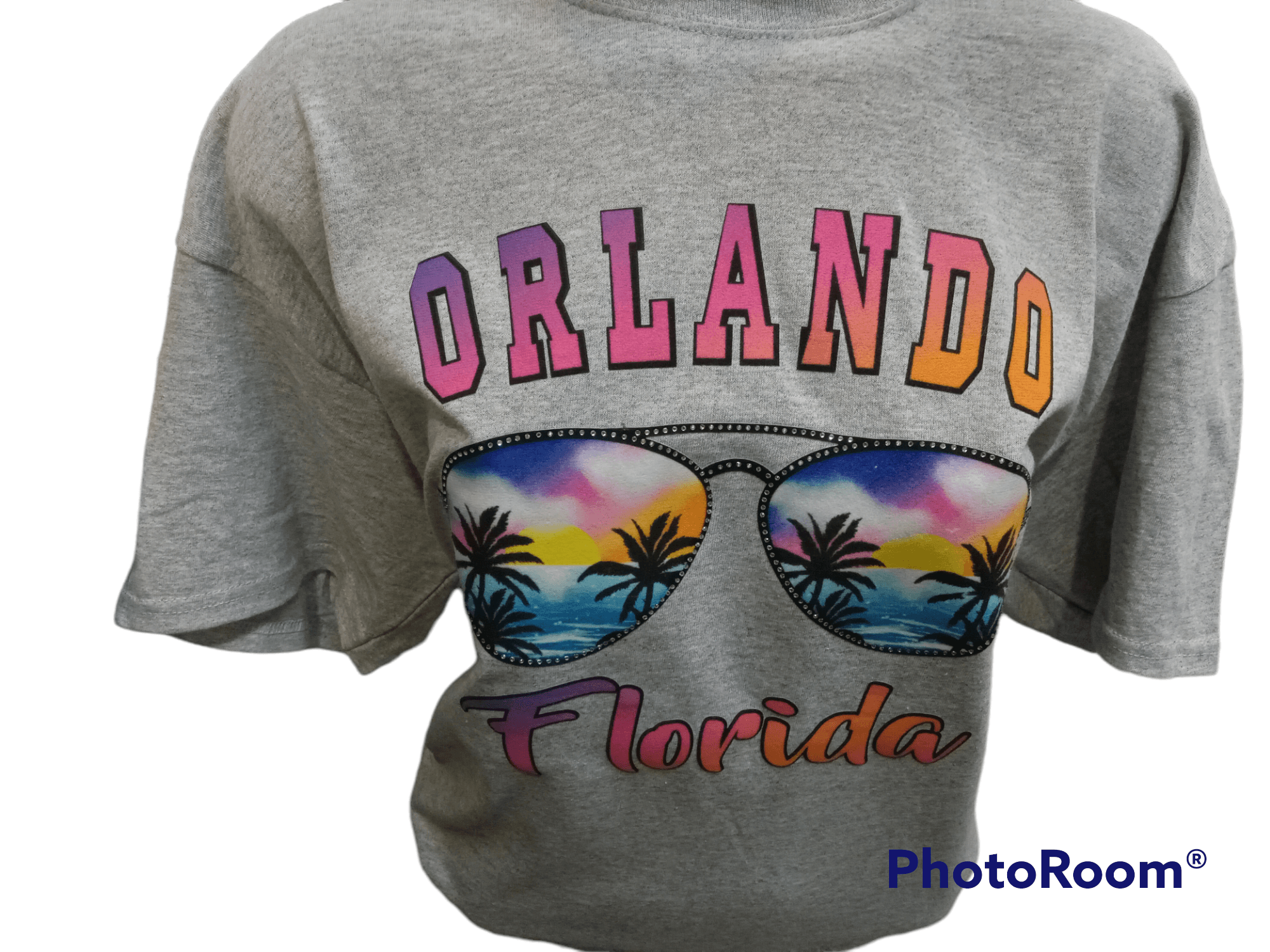 Orlando Florida Grey Sunset Glasses T-shirt