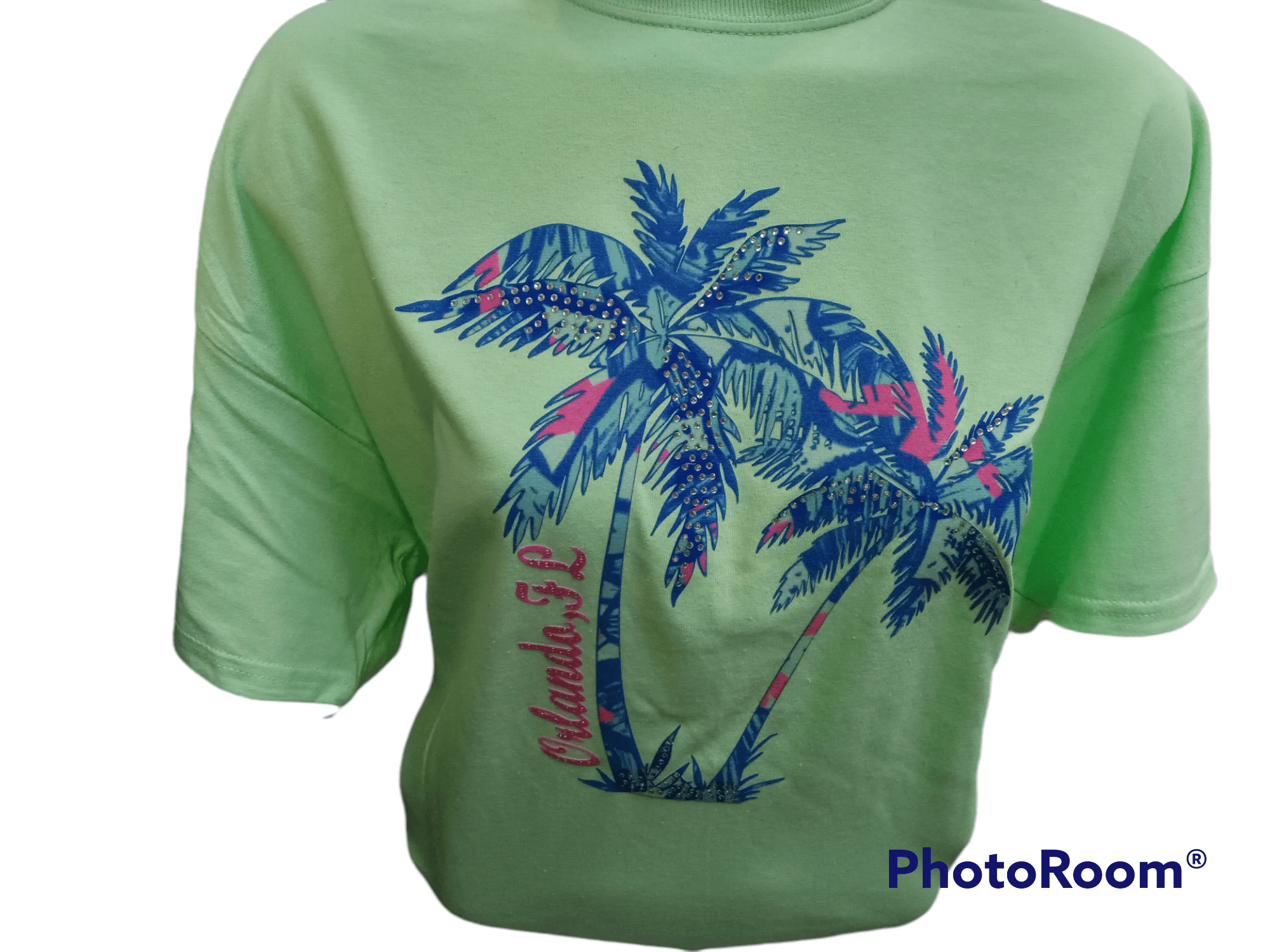 Orlando Florida Mint Green Palm Tree T-shirt