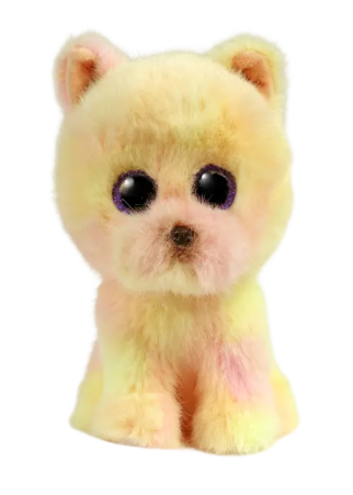 Palmer Pomeranian Yellow Reg