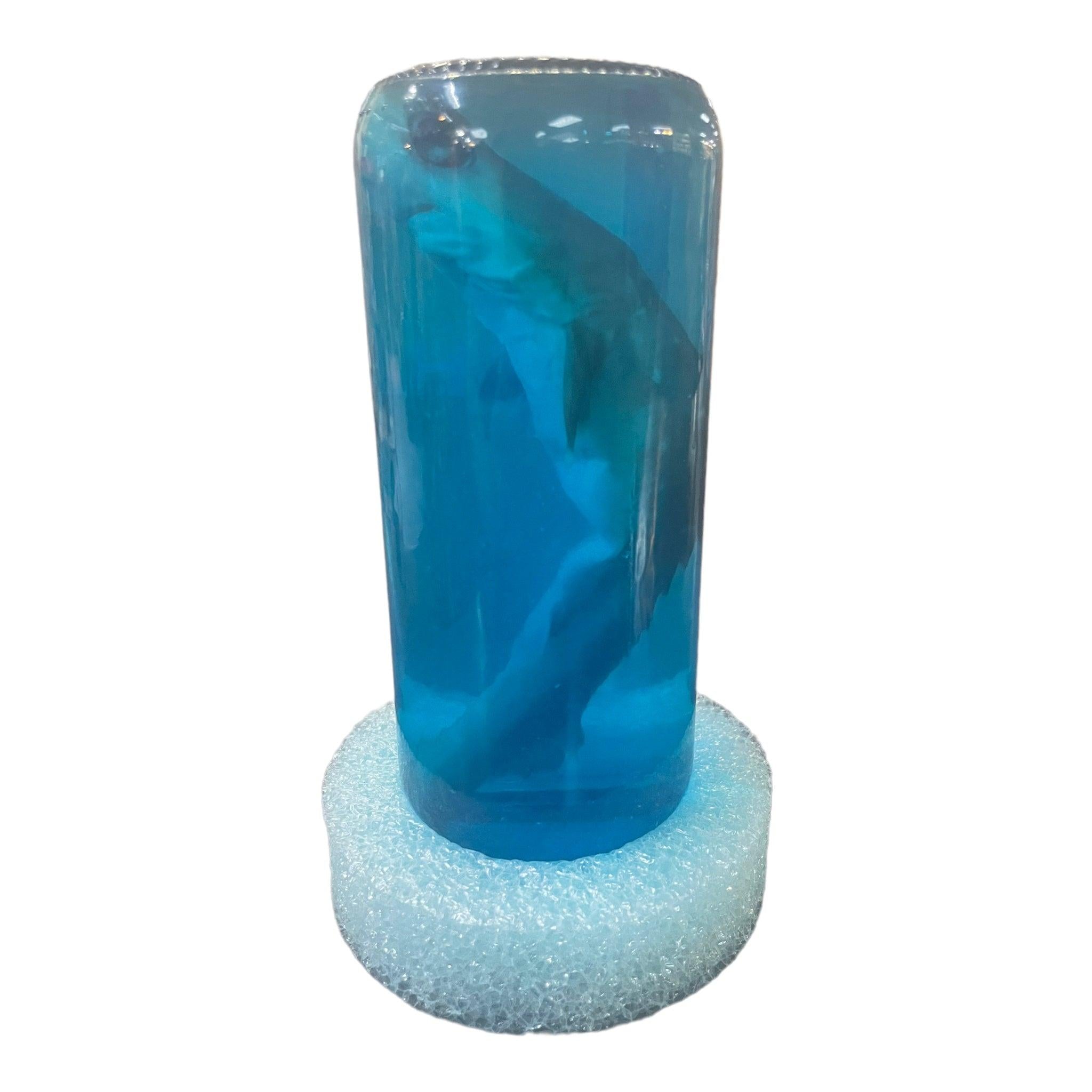 Shark in a Bottle With Foam Base