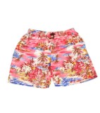Men's Hawaiian Short Assrt
