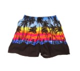 Men's Hawaiian Short Assrt