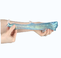 6" Squeezy Sugar Shark Assrt - 1pc