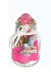 Florida Glowing Turtle Sand Bottle Assrt