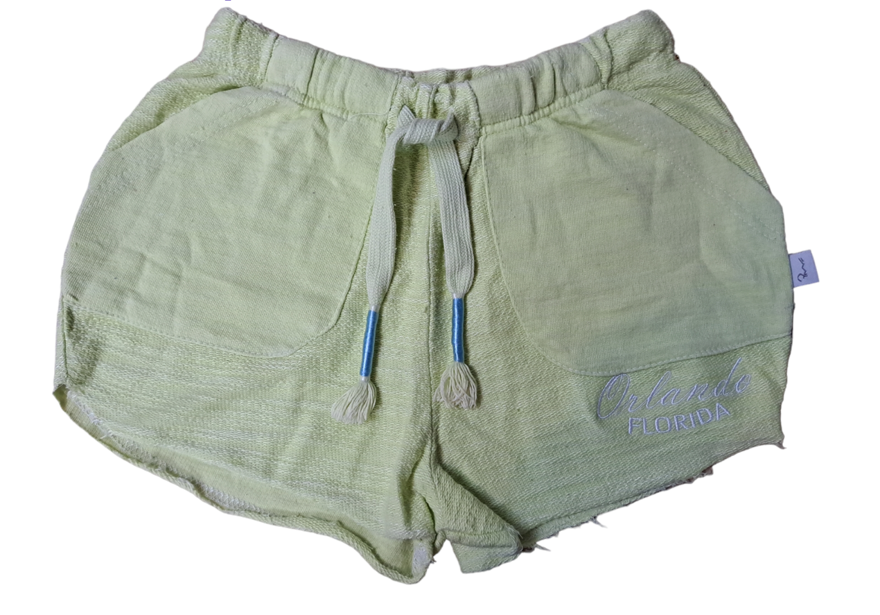 Orlando Florida Key Lime Shorts