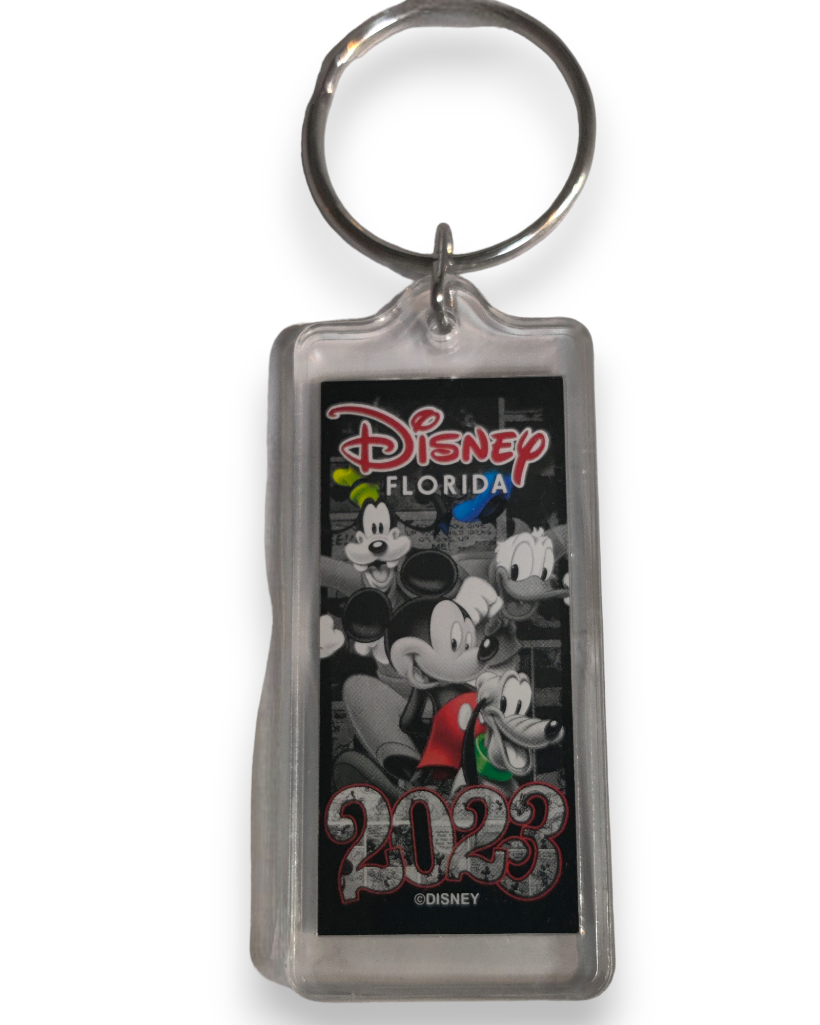2023 Disney Florida Souvenir Keychain with Mickey and Friends, Party Lucite  Key Ring
