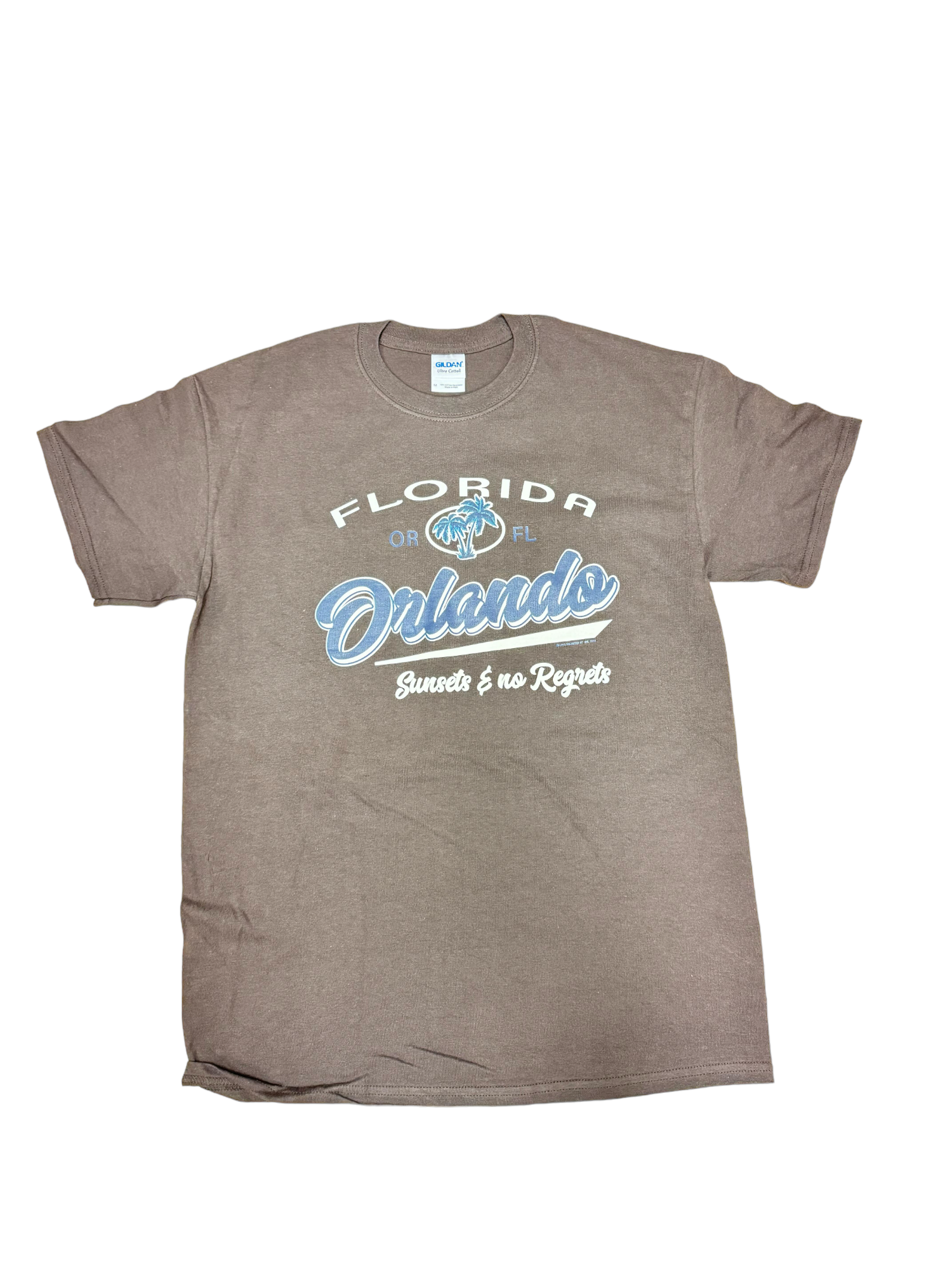 Brown and Blue Florida Orlando Palm Tree Shirt