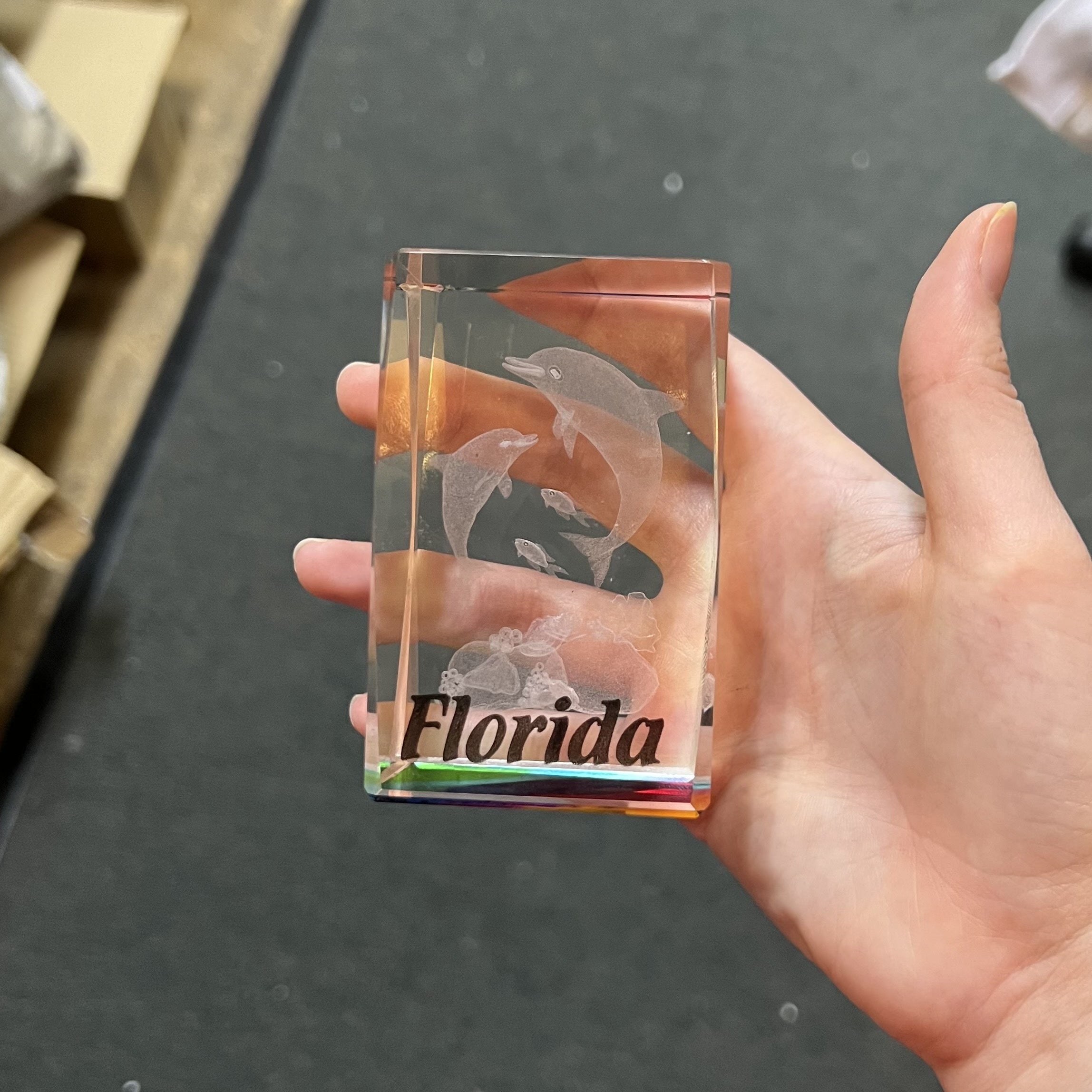 Dolphin & Baby Cry/Hologram with Color