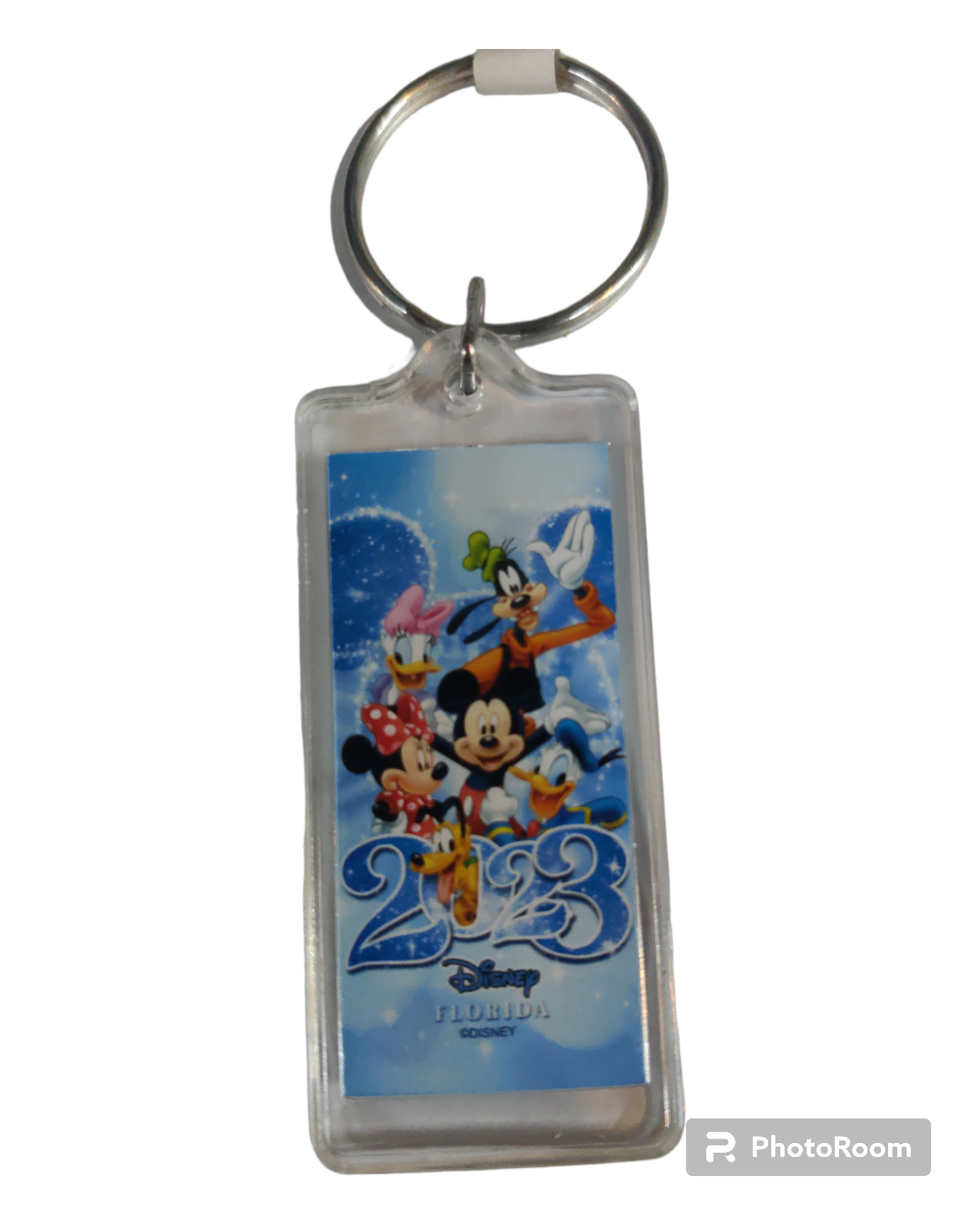 Mickey & Gang 2023 Celebration Lucite Keychains