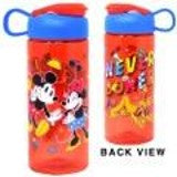 Mickey & Minnie 16.5oz Sullivan Bottle
