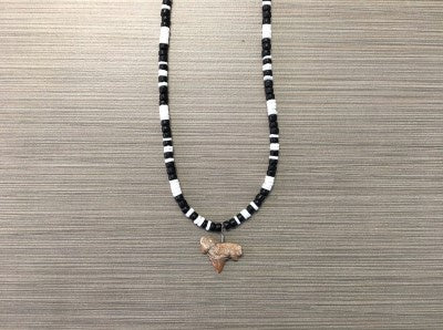 White Clam  And Black Coco Shark Tooth Necklace 18"