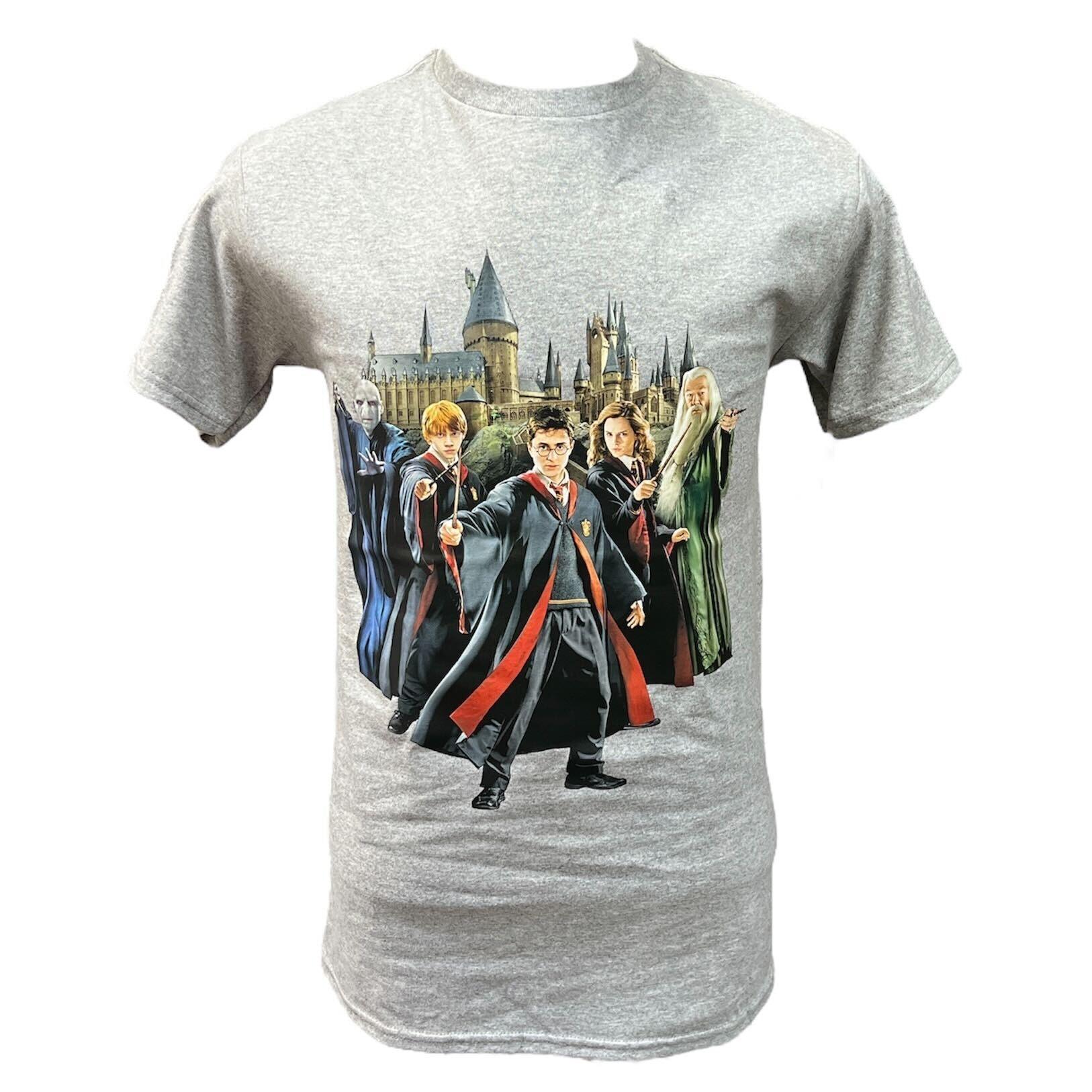 Adult Harry Potter Group Sports Grey Tee