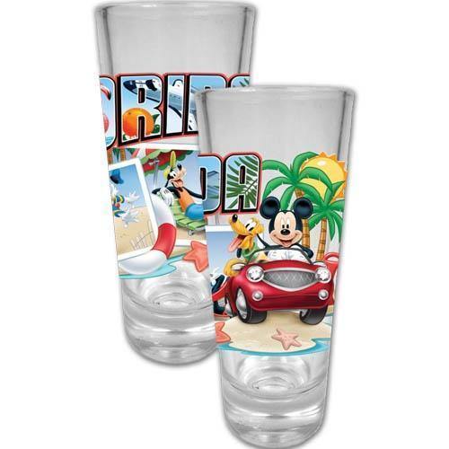 Disney Mickey and Friends Florida Collector Glass