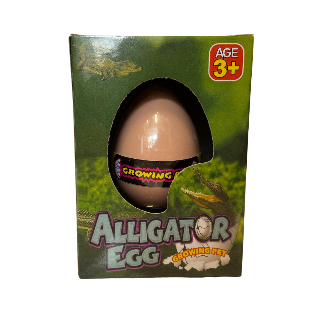 Large Growing Alligator Egg
