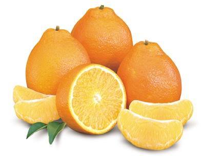 First and Last Honeybells