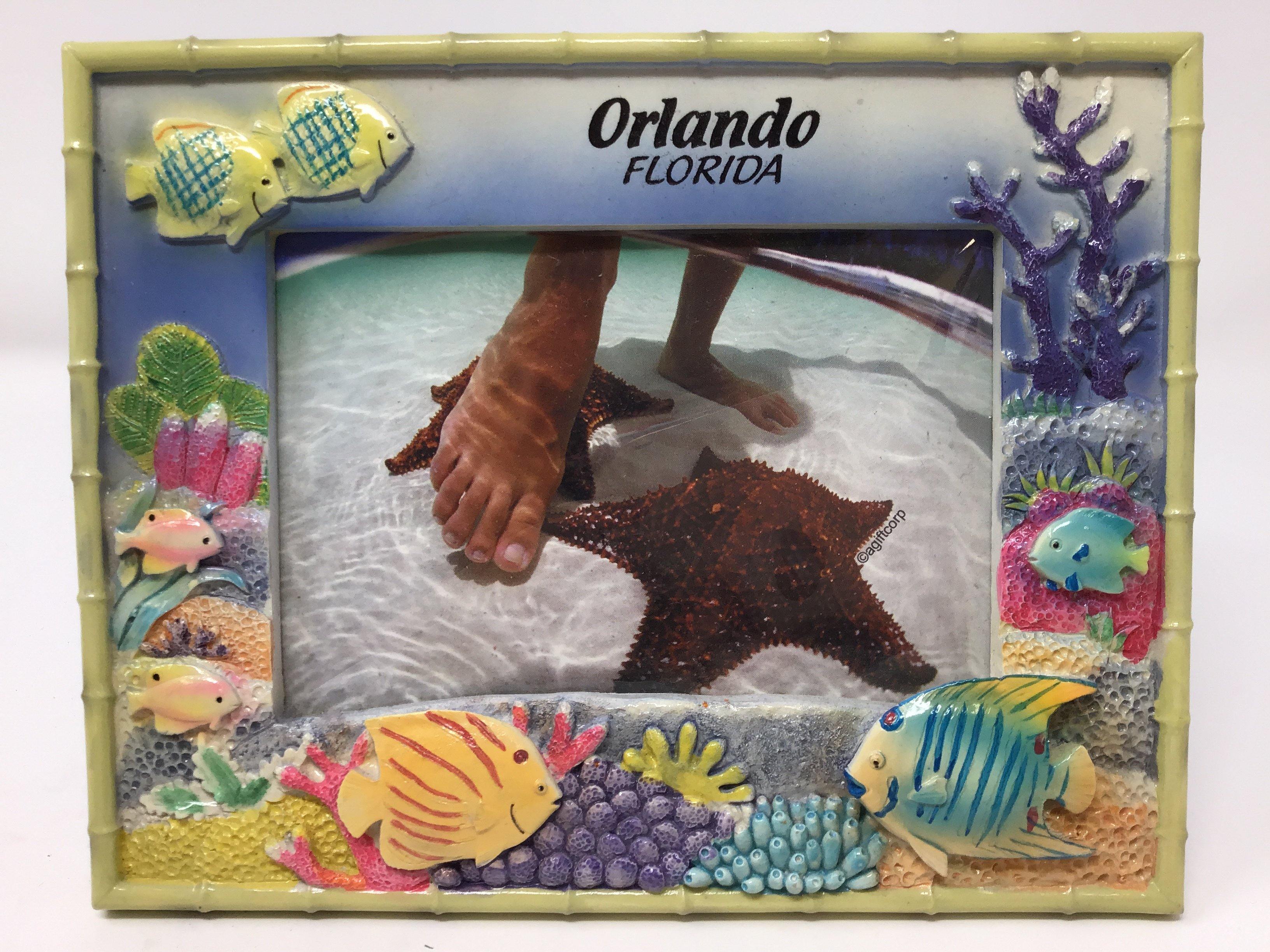 Fish and Reefs Photo Frame 4x6"