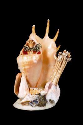 Florida Lambis Toothpick Holder