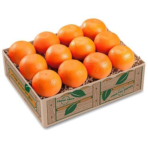 Florida Tangerines- DELUXE