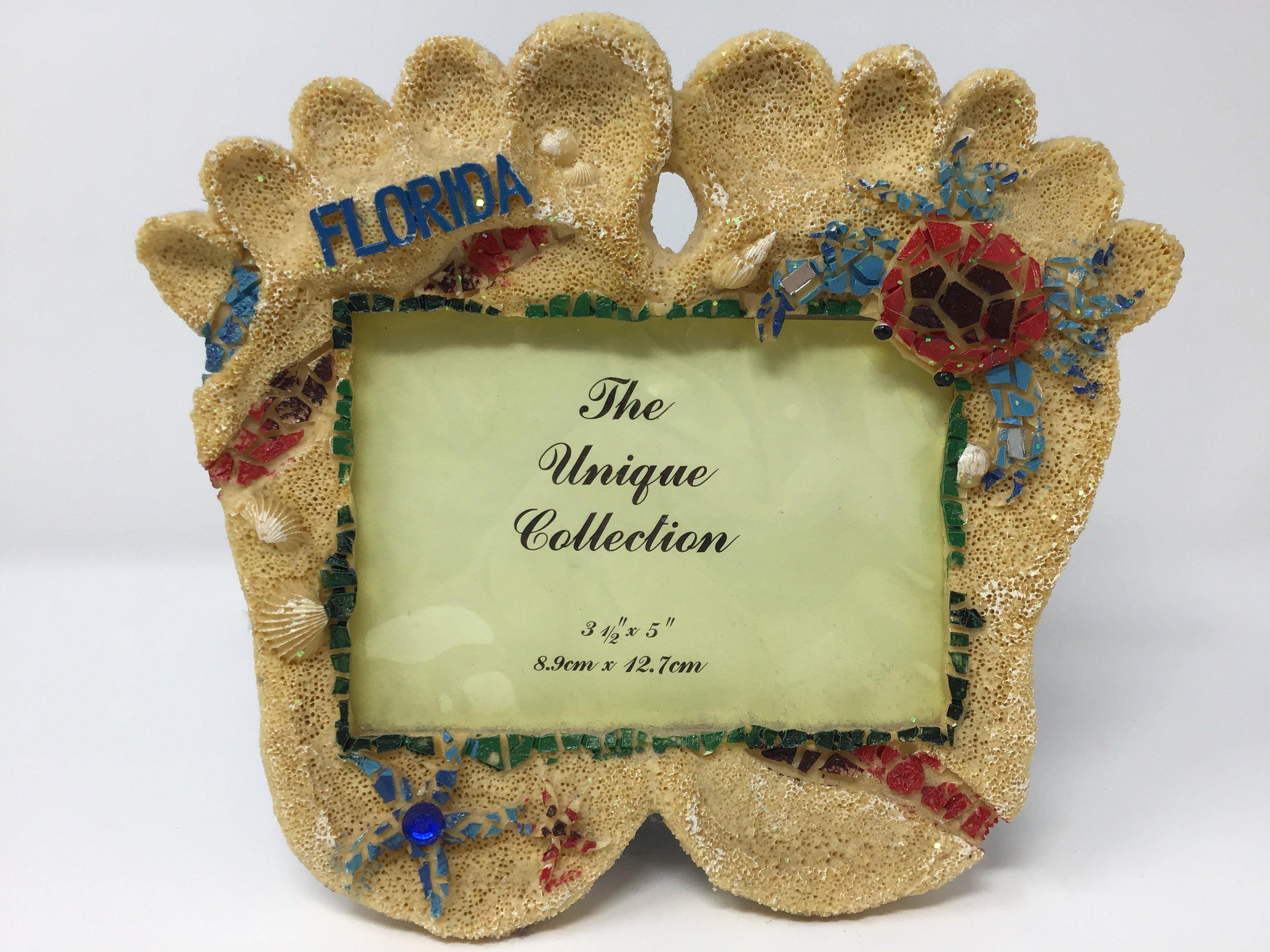 Footprint Florida Photo Frame 3.5X5"