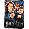 Harry Potter "School Gang" 45x60 Fleece Throw