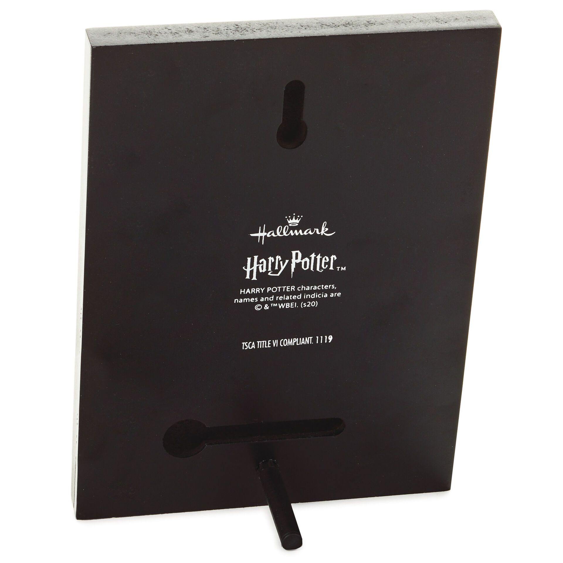 Harry Potter™ Don'T Let Muggles Get You Down Wood Quote Sign, 5X7