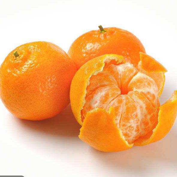 Honeybell and Mandarin Oranges