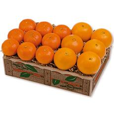 Honeybell and Mandarin Oranges