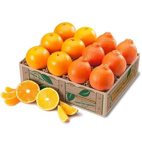 Honeybells and Navel Oranges
