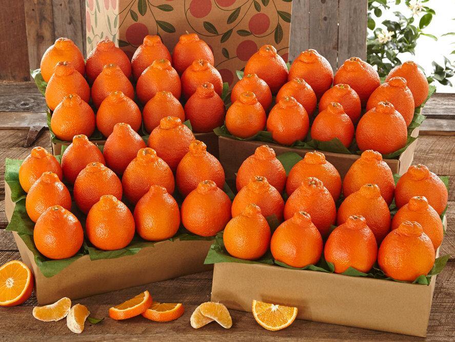 Honeybells