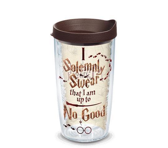 I Solemnly Swear Tervis Tumbler