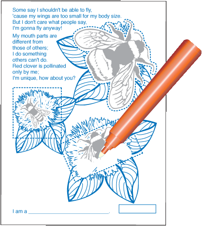 Invisible Ink With Stickers: Bugs Book 2