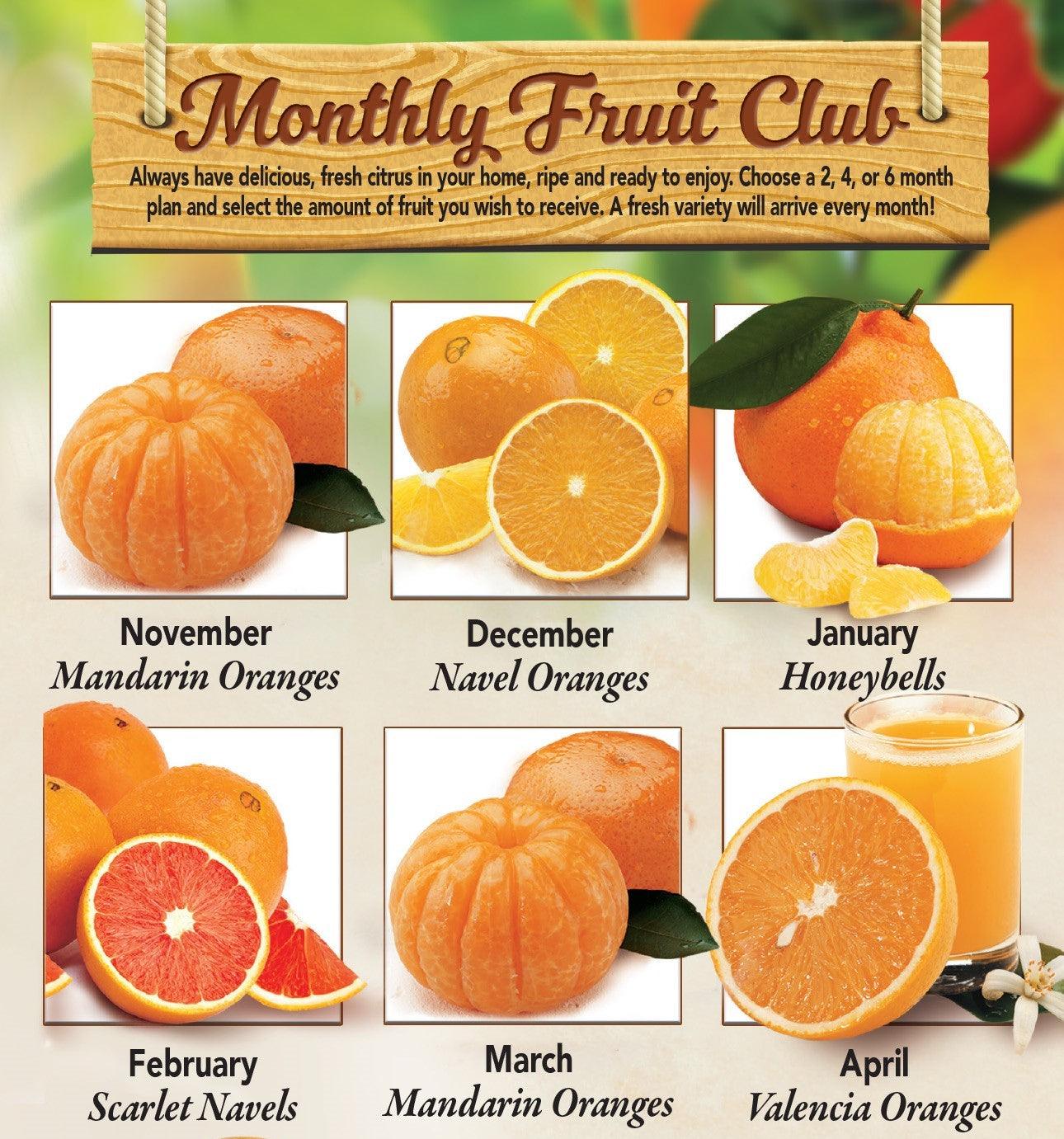 Monthly Fruit Club - 4 Months