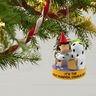 Peanuts® I Got a Rock Charlie Brown Halloween Ornament With Sound