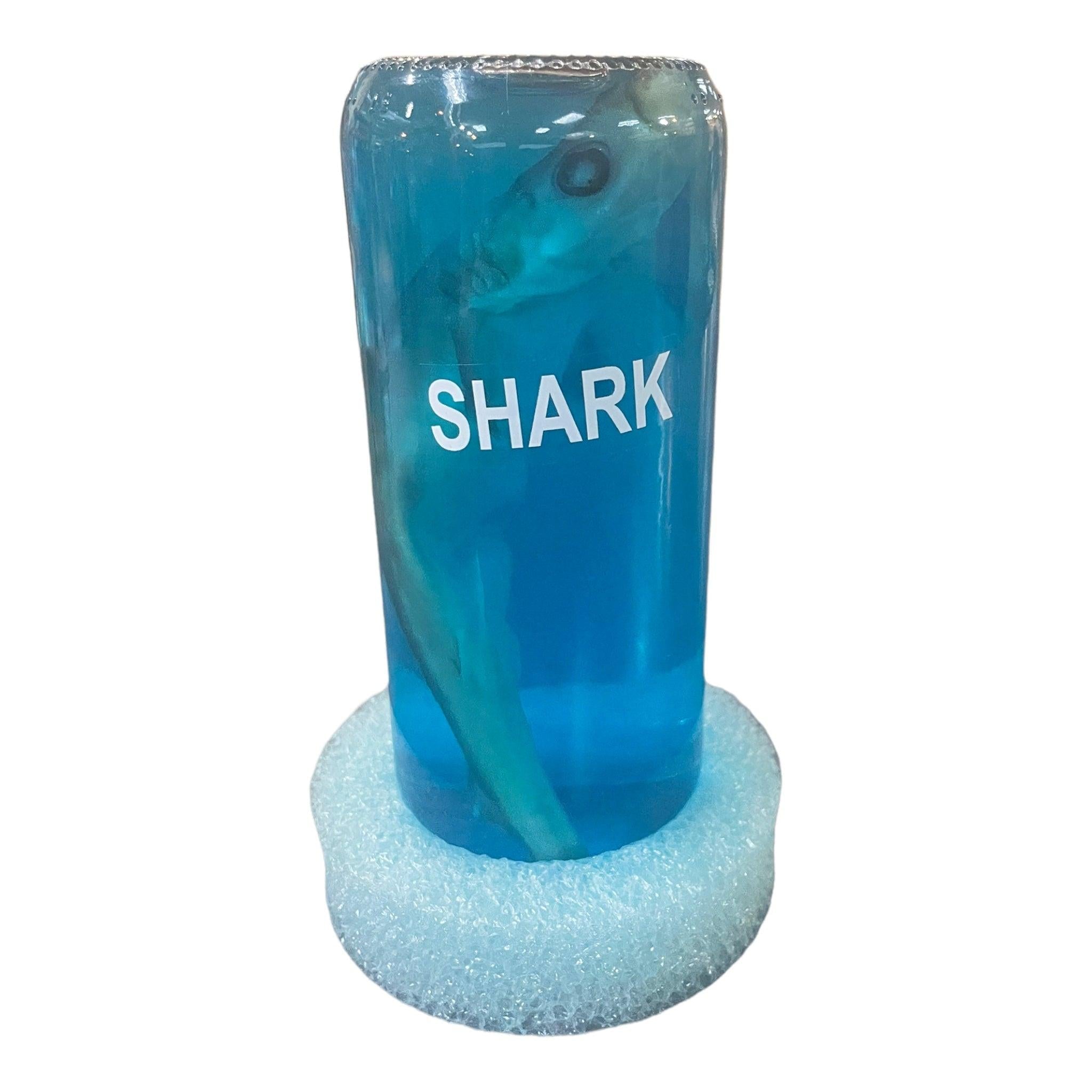 Shark in a Bottle With Foam Base
