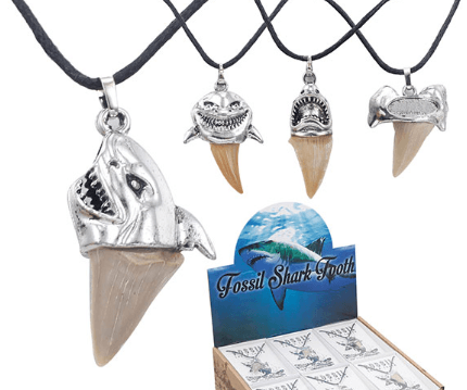 Shark Tooth Gift and Pendants