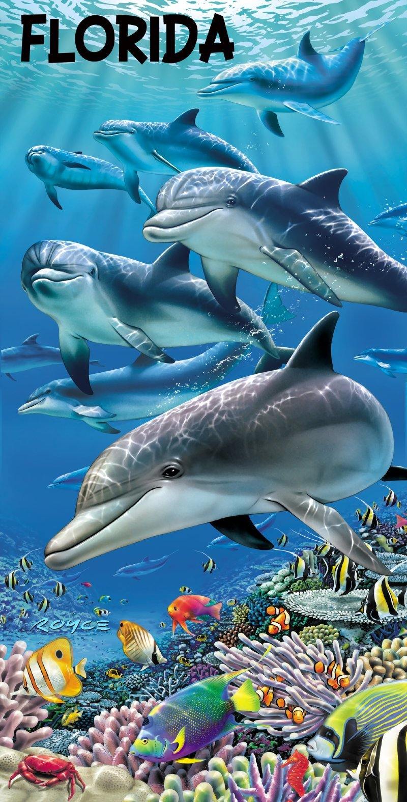 The Living Sea Florida Beach Towel