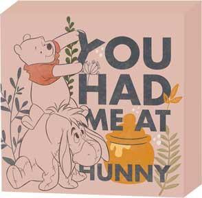 Winnie The Pooh Had We Me At Hunny 6" X 6" X 1.5" Box Wall Sign